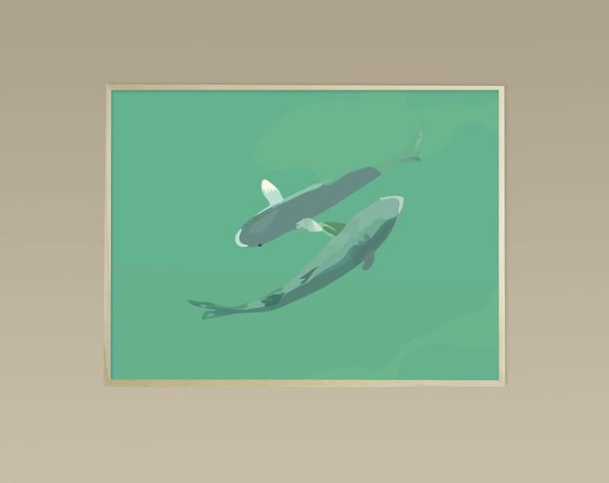 Didouch's fish - Fish collection - 3 formats