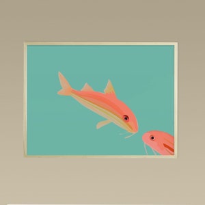 Salmonetes de Didouch - Colección de pescado