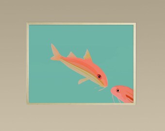 Didouch's red mullets - Fish collection