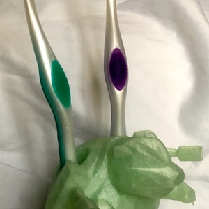 May include: A light green toothbrush holder in the shape of a frog, holding two toothbrushes. The toothbrushes have silver handles with green and purple accents, and blue and green bristles.