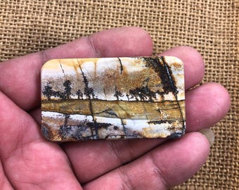 Strom - Malerische Cherry Creek Jaspis Anhänger Cabochon, freies Bohren, flaches Gesicht, LESEN Sie die Personalisierung unten !!! e5430-