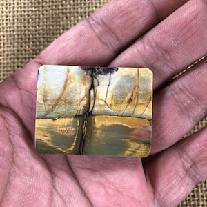 Puede incluir: Una piedra rectangular con esquinas redondeadas, que presenta un patrón de paisaje natural. La piedra muestra una mezcla de colores, incluyendo beige, marrón, verde y negro, con una apariencia agrietada y texturizada. La piedra se sostiene en una mano.