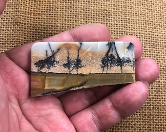 Scenic Cherry Creek Jasper Cabochon, Landscape Stone, Free Drilling