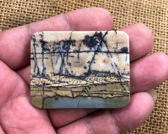 Riverside - Scenic Cherry Creek Jasper Cabochon – Free Drilling, Jewelry Making (49x38x6mm)