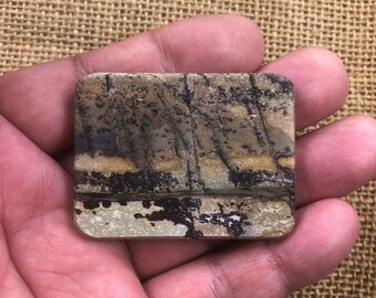 Scenic Cherry Creek Jasper Cabochon – Free Drilling, Jewelry Making (50x38x6mm)