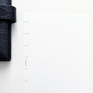 May include: A white gridded paper refill for a personal planner. The paper has holes on the left side for a binder. The paper is blank and ready for writing.