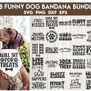 Pacchetto di bandane divertenti per cani in formato SVG, maglietta per animali domestici in formato SVG, amante dei cani in formato SVG, pacchetto di cani in formato SVG, citazione di cani in formato SVG, pacchetto di SVG divertenti, mamma di cani