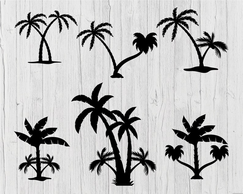 Puede incluir: Ilustraciones de siluetas negras de varias palmeras sobre un fondo blanco con vetas de madera. La imagen presenta varios dise&ntilde;os de palmeras diferentes, incluyendo variaciones de tronco &uacute;nico y m&uacute;ltiple, con hojas y troncos detallados.
