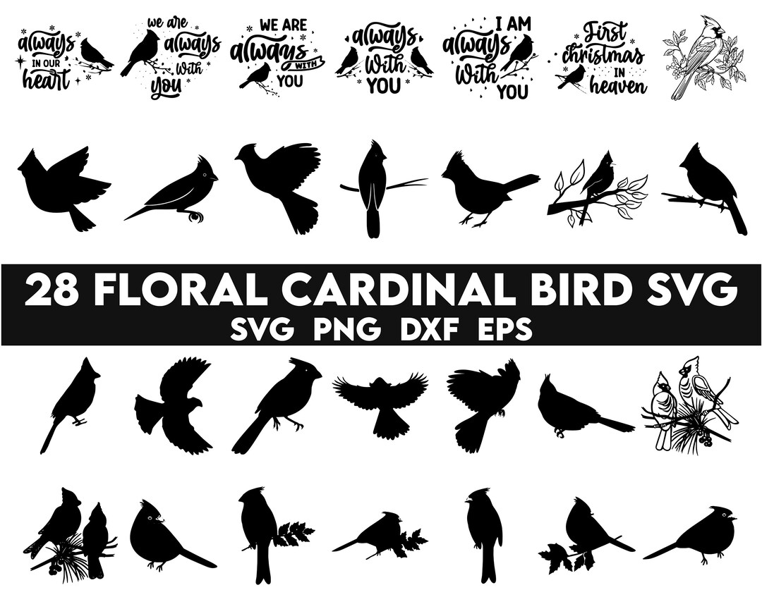 Cardinal Cut File Floral Cardinal Bird SVG Bundle, Cardinal Bird SVG, Cardinal Bird ...