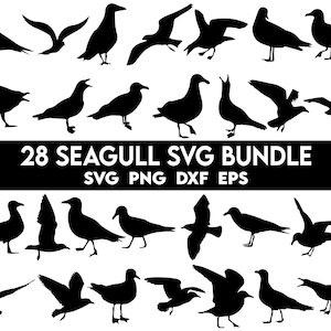 Pacchetto SVG gabbiano, Svg gabbiano, Clipart gabbiano, File di taglio SVG gabbiano per Cricut, Silhouette gabbiano, Png gabbiano, Svg costiero, Dfx gabbiano