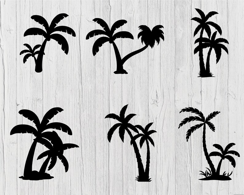 Puede incluir: Ilustraciones de siluetas negras de palmeras sobre un fondo de vetas de madera blancas. Los dise&ntilde;os incluyen &aacute;rboles individuales y m&uacute;ltiples, con diferentes formas de tronco y estilos de frondas. Ideal para proyectos de tem&aacute;tica tropical o playera.