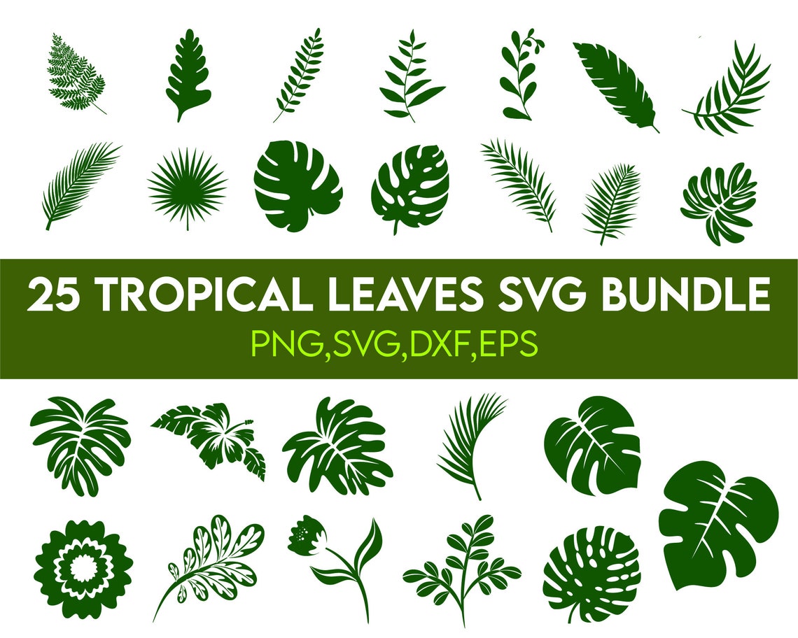 TROPICAL LEAVES SVG Bundle, Tropical Leaf Svg, Monstera Svg, Banana