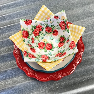 Pioneer Woman Bowl Cozy Set