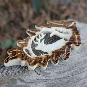 May include: A detailed, carved antler pendant featuring a deer silhouette within a leaf-shaped frame. The pendant has a natural, off-white colour with brown accents, showcasing intricate details. The piece is likely a handcrafted item, perfect for nature enthusiasts.