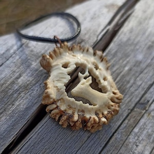 This hand-carved antler deer necklace might grab your attention, if you are looking for something uniue.