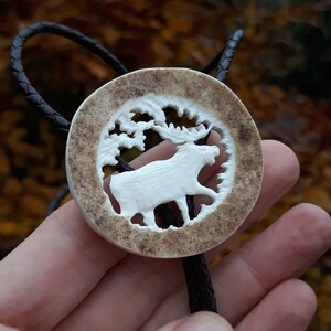 If you admire mooses and hand-crafted bolo ties, you might like this one.