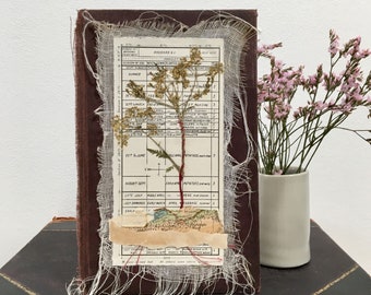 Garden Themed Picture, Vintage & Found Object Collage, Ephemera Art, Dried Flower Art