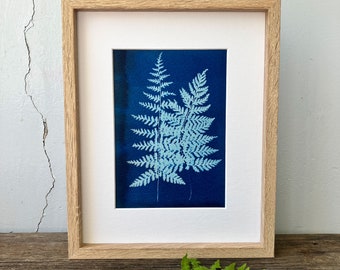 Fern Cyanotype, Botanical Cyanotype, Botanical Print, Botanical Art, Blue Art, Plant Themed Art