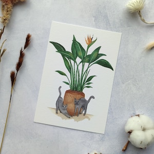 Wenskaart 'Strelitzia' | plant | katten | huis | aquarel print | illustratie | happy new home | planten | poezen | verhuizen | gift