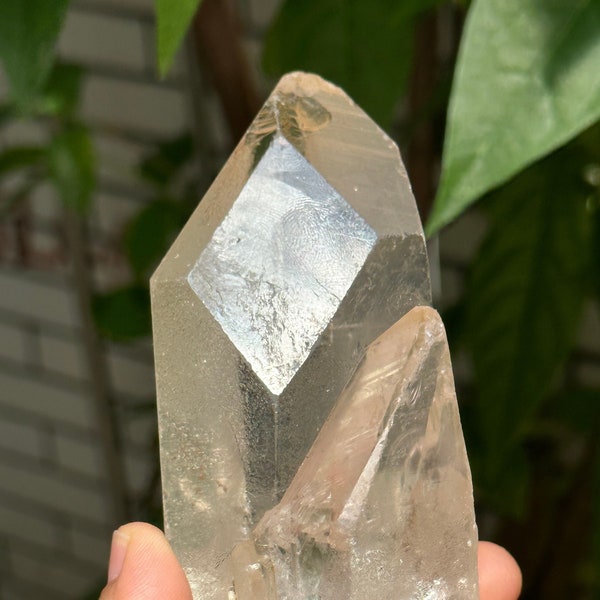 Raw Himalayan Starbrary Time Links Quartz Crystal Cluster/Clear Twins Window Quartz Crystal Point with Star Marks/Decor-125*48*43 mm 379 g