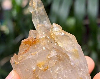 Himalayan Castle Skeletal Quartz Golden Crystal Cluster Mud Clay Included/Specimen/Healing-105 g