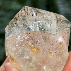 May include: A clear quartz crystal with black tourmaline inclusions. The crystal is a light amber colour and has a rough, natural shape. The inclusions appear as dark, needle-like structures within the transparent quartz. The crystal is held in a hand.