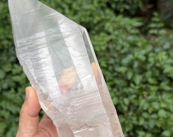 May include: A large, clear quartz crystal with a pointed tip. The crystal is held in a hand, showcasing its size and natural, raw texture. The background is blurred green foliage.