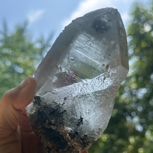 Può includere: Un grande cristallo di quarzo trasparente con una base ruvida e strutturata. Il cristallo è per lo più trasparente, con linee e inclusioni interne visibili. La base ha un aspetto scuro e terroso. Lo sfondo è una vista sfocata di fogliame verde e cielo blu.