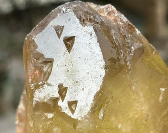 Rare Record-keeper Nirvana Citrine Crystal Quartz Point/Energy quartz/crystal healing -118*91*68 mm 964 g