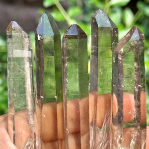 May include: A group of six clear quartz crystal points with a slightly smoky hue. The points are arranged in a hand, with the tips pointing upwards.