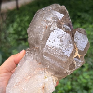 May include: A large raw crystal cluster featuring a translucent, smoky brown quartz formation attached to a base of opaque, milky white quartz. The smoky section displays sharp, geometric facets and a glassy texture, while the base is rough and textured.