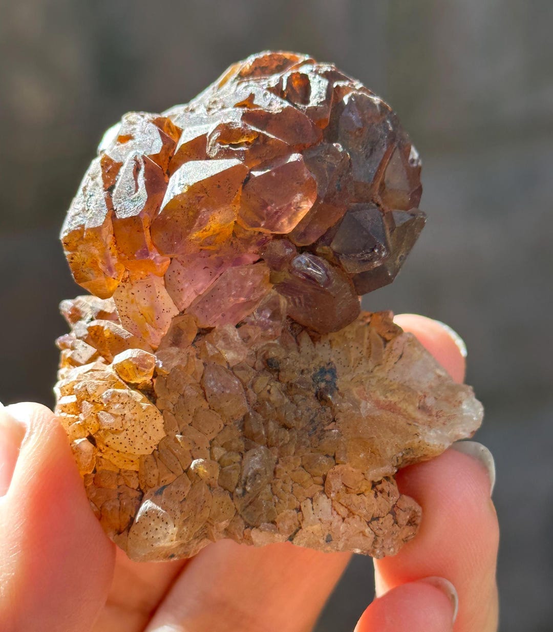 Rare Scepter Super 7 Amethyst Crystal Globular Cluster/skeletal Quartz ...