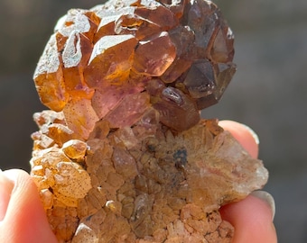 Rare Scepter Super 7 Amethyst Crystal Globular Cluster/Skeletal Quartz Crystal/Specimen/Crystal Collection/Meditation/Reiki/Healing - 83 g