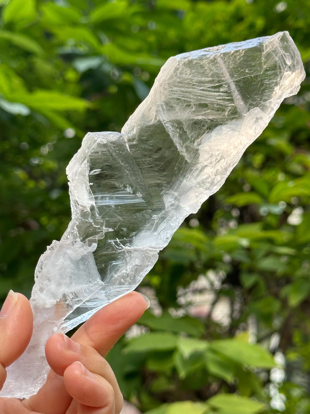 Natural Clear Corrosion Gypsum Crystal Quartz Point/white Raw Selenite ...