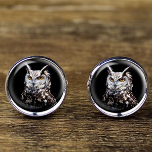 Owl Cufflinks: Silver Plated Brass, Bird Jewelry