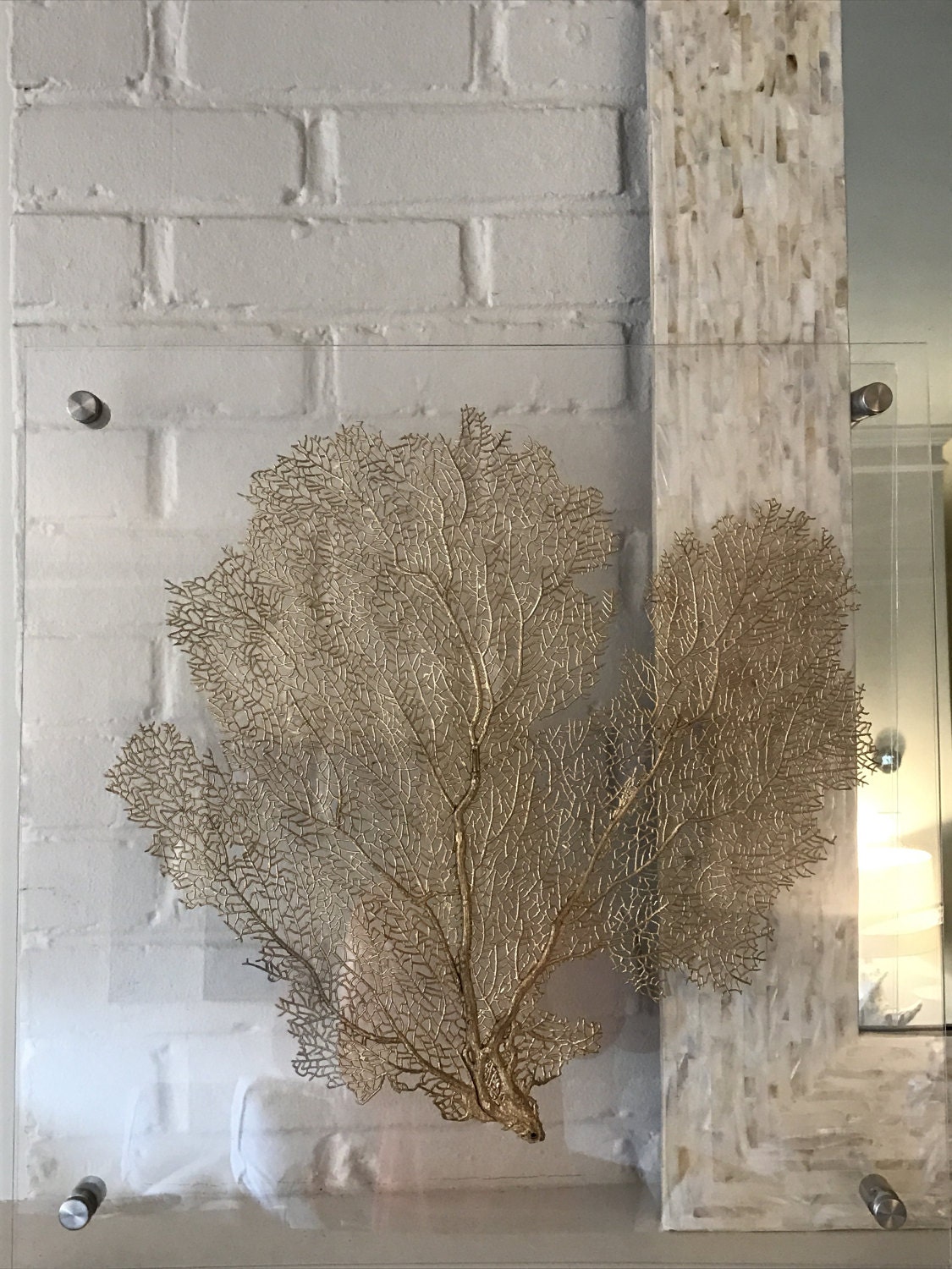 Sea Fan Coral on Lucite Acrylic Floating Frame | Etsy