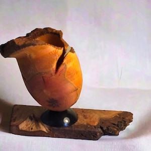 Puede incluir: Un jarrón de madera con una forma orgánica única, tallado en una sola pieza de madera. El jarrón tiene un color marrón rojizo natural y una superficie rugosa y texturizada. Está montado sobre una base de madera.