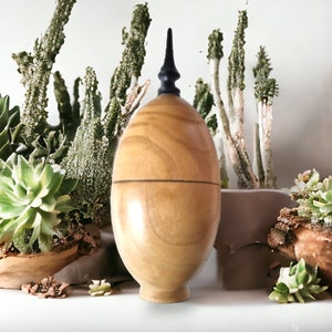 Puede incluir: Una caja de madera con forma de huevo con un remate negro en la parte superior. La caja está hecha de madera clara con detalles en madera oscura. La caja está rodeada de suculentas en macetas.