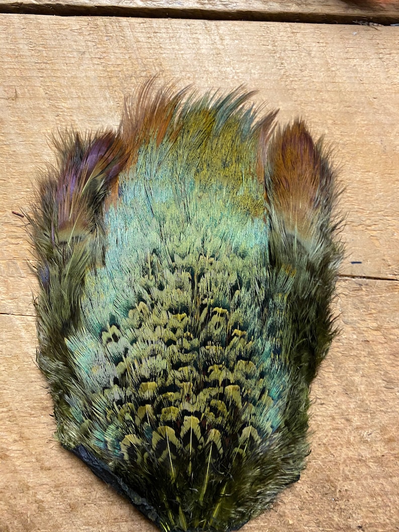 Pheasant Rump Patch: Church Pane Feathers, Natural and Dyed - Etsy