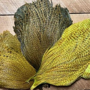 May include: Three pheasant tail feathers for fly tying. The feathers are in shades of green, yellow, and brown with black barring.