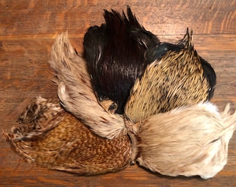 Indian Rooster Cape Assortment
