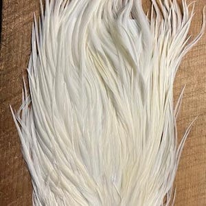 以下が含まれることがあります： 白い雄鶏の尾羽根。フライタイイングやその他のクラフトに使用される天然素材です。