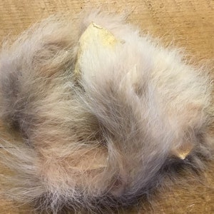 May include: A clump of light brown and gray fur with a few pieces of skin attached.