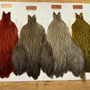Puede incluir: Cuatro capas de gallo teñidas en tonos rojo, marrón, gris y verde oliva, expuestas en tarjetas blancas. Cada capa es una colección de plumas, ideal para la pesca con mosca o la artesanía. Las tarjetas tienen el logo "Whiting".