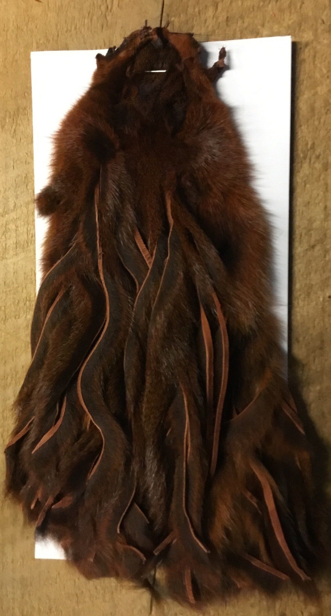 Tanned Pine Squirrel Hide Precut Into Zonker Strips Etsy