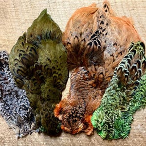 May include: A collection of multi-coloured feathers, including grey, green, and brown, displayed on a wooden background. The feathers exhibit detailed patterns and textures, with a range of natural colours and intricate details. Suitable for crafts or decorative use.