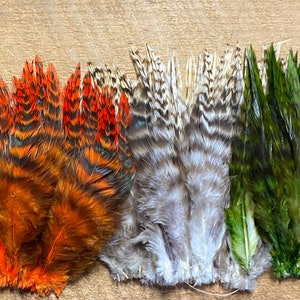 Könnte beinhalten: Drei Bündel Federn zum Fliegenbinden. Das erste Bündel ist orange und schwarz, das zweite ist grau und weiß, und das dritte ist grün und schwarz.