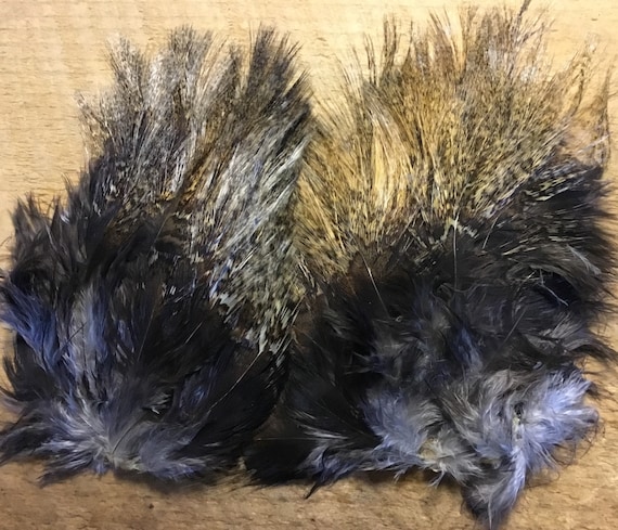 Whiting Farms Coq De Leon Tailing Pack - Etsy