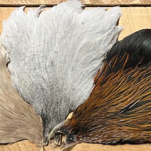 Könnte beinhalten: Drei Fasanenschwanzfedern, eine weiße, eine hellbraune und eine mit schwarzen und braunen Federn.