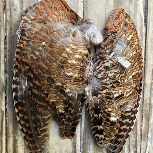 Puede incluir: Dos alas de pájaro con plumas marrones, negras y beige, presentadas sobre una superficie de madera envejecida. Las alas están extendidas, revelando patrones y texturas detalladas. Las plumas tienen un aspecto natural y rústico.